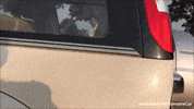 Ford Cars GIF by Namaste Car
