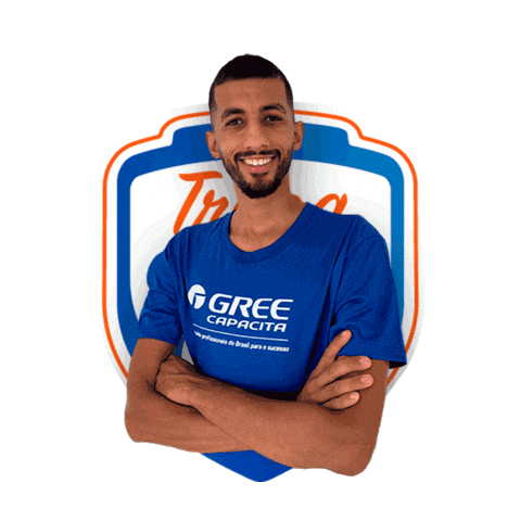 Gree Sticker by GreeBrasil