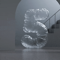 gambadeclub fun animation loop 3d GIF