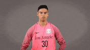 Division Ii Soccer GIF by Cal State LA Golden Eagles