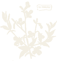 Smiley Face Hello Sticker by Simply Suzette