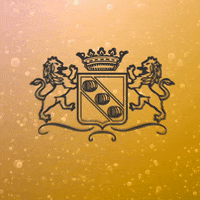LagioiosaUsa italy bubbles prosecco lagioiosa GIF
