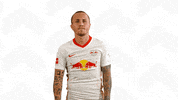 Oh Yeah Yes GIF by RB Leipzig