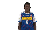 handballbundesligafrauen handball hbf handball bundesliga frauen quist Sticker