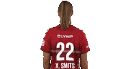 handballbundesligafrauen handball hbf smits bietigheim Sticker
