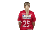 handballbundesligafrauen handball solingen hbf penz Sticker