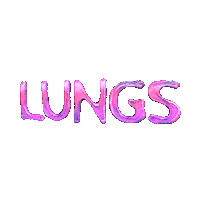 Global Warming World Sticker by INTO ACT!ON