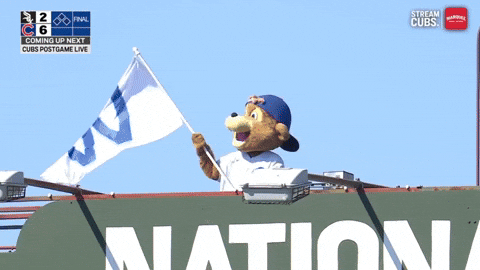 Chicago Cubs Baseball GIF by TheDreamTeam 
