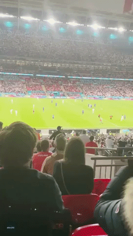 Crowd Boos as Pitch Invader Captured by Stewards at Euro 2020 Final