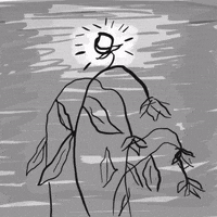 Flower Hope GIF