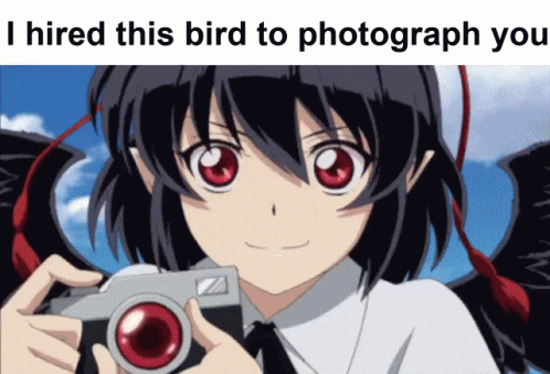 Camera Crow GIF