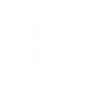 Oklahoma City Smile Sticker by normanpediatricdentistry