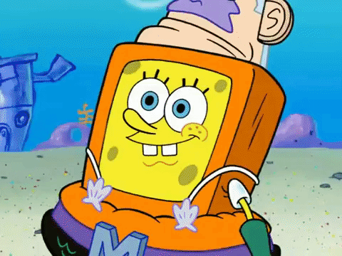 season 6 GIF by SpongeBob SquarePants