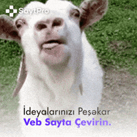 Saytpro GIF
