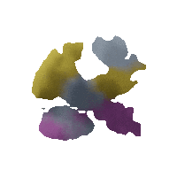 Paint Cloud Sticker by Nico Daunt