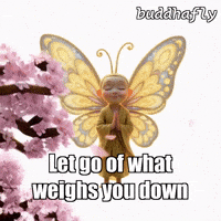 Cherry Blossom Peace GIF by BuddhaFlyJourney