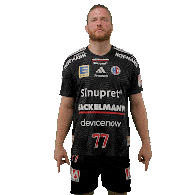 Handball Erlangen Sticker by DAIKIN HBL