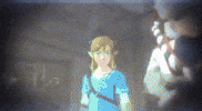 The Legend Of Zelda GIF