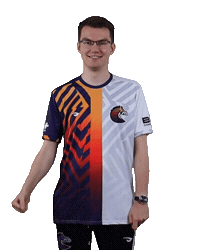 Esports Zebra Sticker by BS+COMPETITION