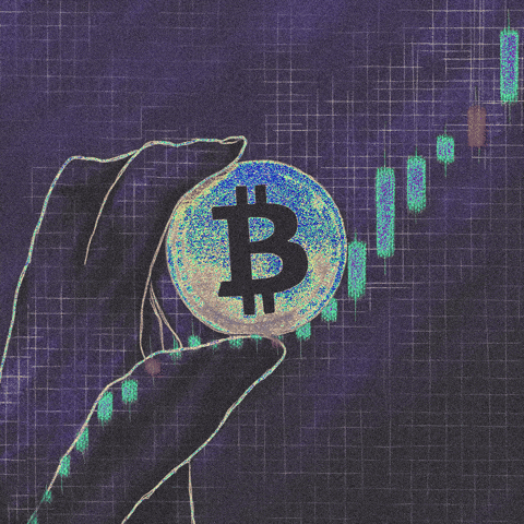 Crypto Feeling GIF