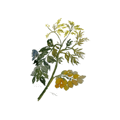 Art Flower Sticker