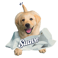 Dog Scott Sticker by BCW Perú