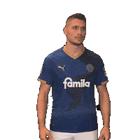 2 Bundesliga Football Sticker by Holstein Kiel