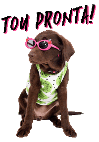 Cacau Pronta Sticker by Bono Surf Dog