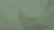 traveloregon animation oregon exaggerated slightly exaggerated GIF