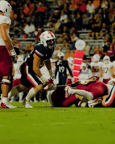 Virginia Football Celebration GIF by Virginia Athletics