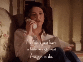 season 5 netflix GIF by Gilmore Girls 