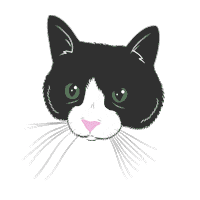 unify festival Sticker by unfdcentral