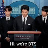 Hi, we're BTS.