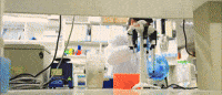 mystarfishfoundation msf crmy 光头与美4 botakchallenge GIF