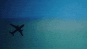 landing sub pop GIF by Sub Pop Records