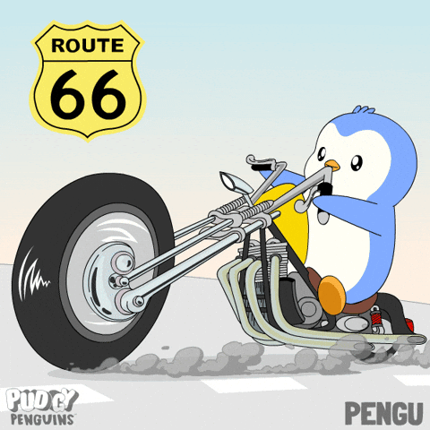 Road Trip Penguin GIF by Pudgy Penguins