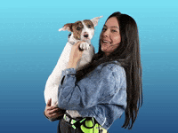 Dog Wave GIF by Originals