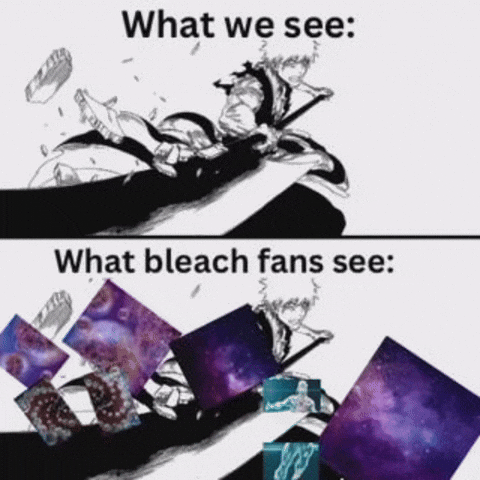 Bleach GIF