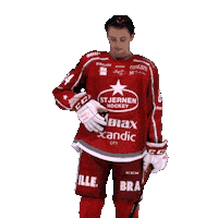Stjernenalag Sticker by StjernenHockey