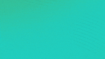 Nascar Finish GIF by MoneyLion