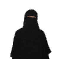 Woman Ninja Sticker by Fynntri