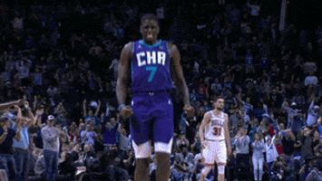 Happy Charlotte Hornets GIF by NBA
