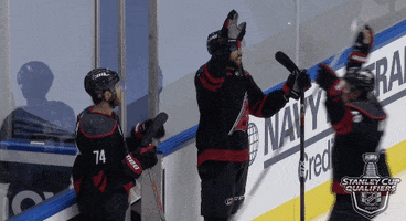 Celebrate Ice Hockey GIF by NHL