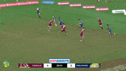 GIF by Touch Football Australia