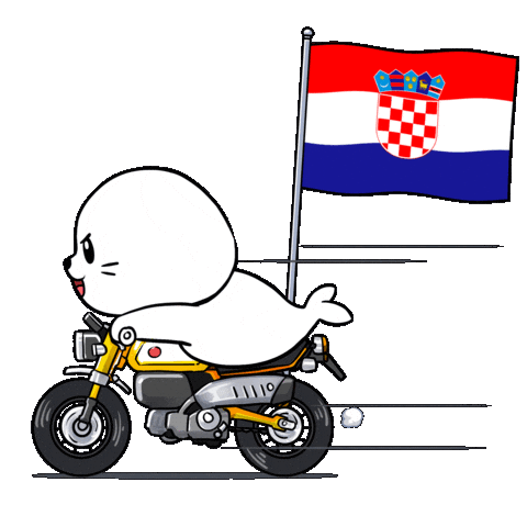Lets Go Football Sticker by Sappy Seals