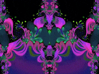 Smz GIF