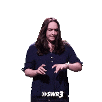 See Ya Goodbye Sticker by SWR3