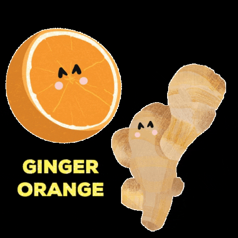 nufs_bites giphygifmaker orange ginger nufs GIF