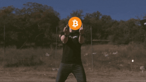 Sorry New Year GIF by FullMag