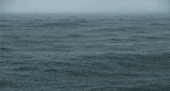 ocean landscape GIF by Head Like an Orange